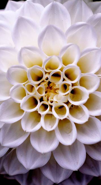 slider_foto_about_1